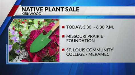 Missouri Prairie Foundation hosting native plant sale at STLCC Meramec campus today